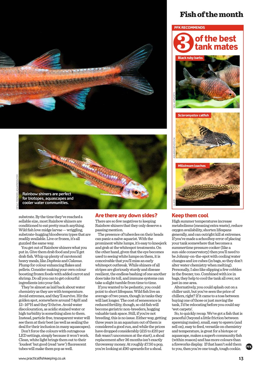Practical Fishkeeping Preview Pages