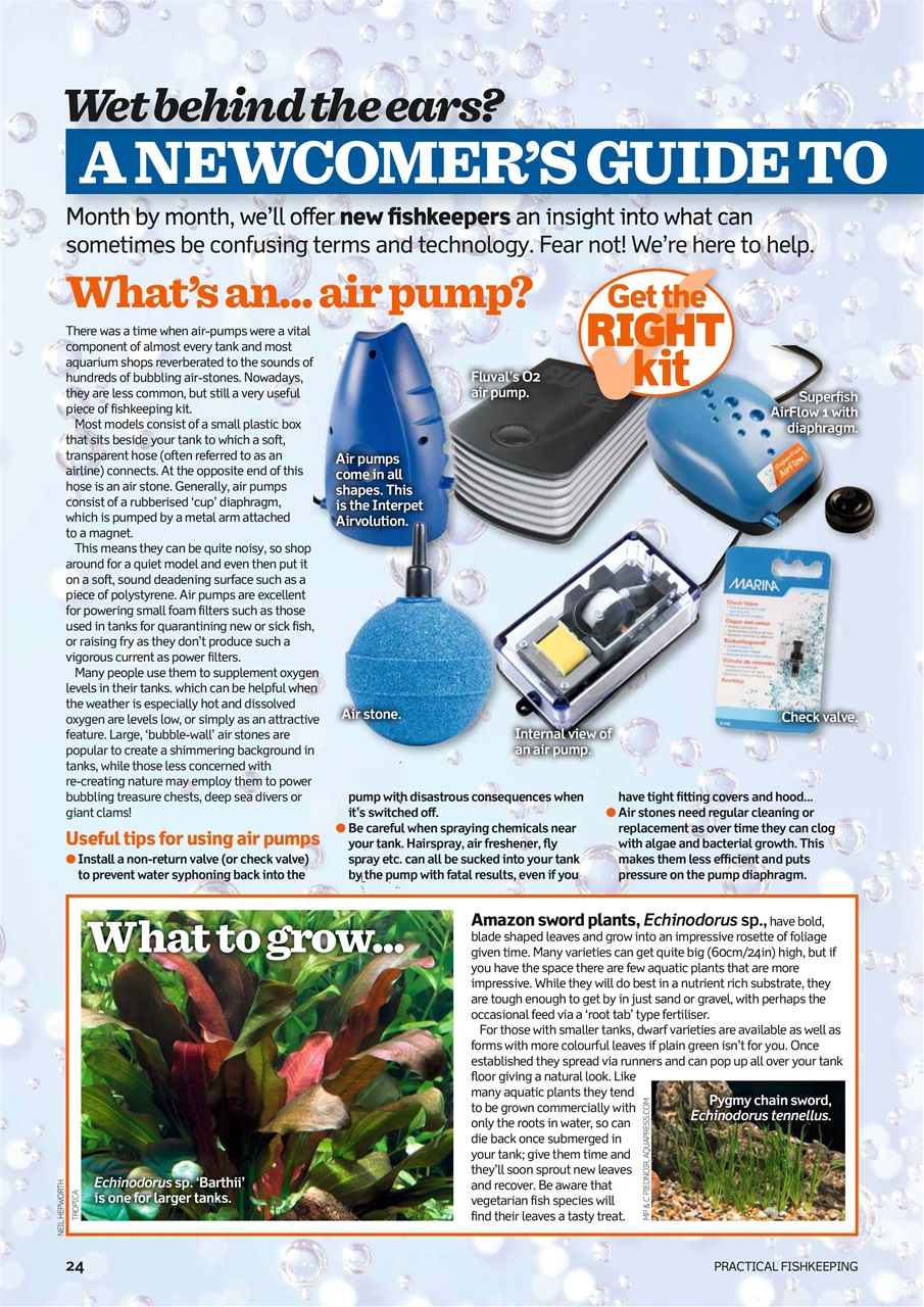 Practical Fishkeeping Preview Pages