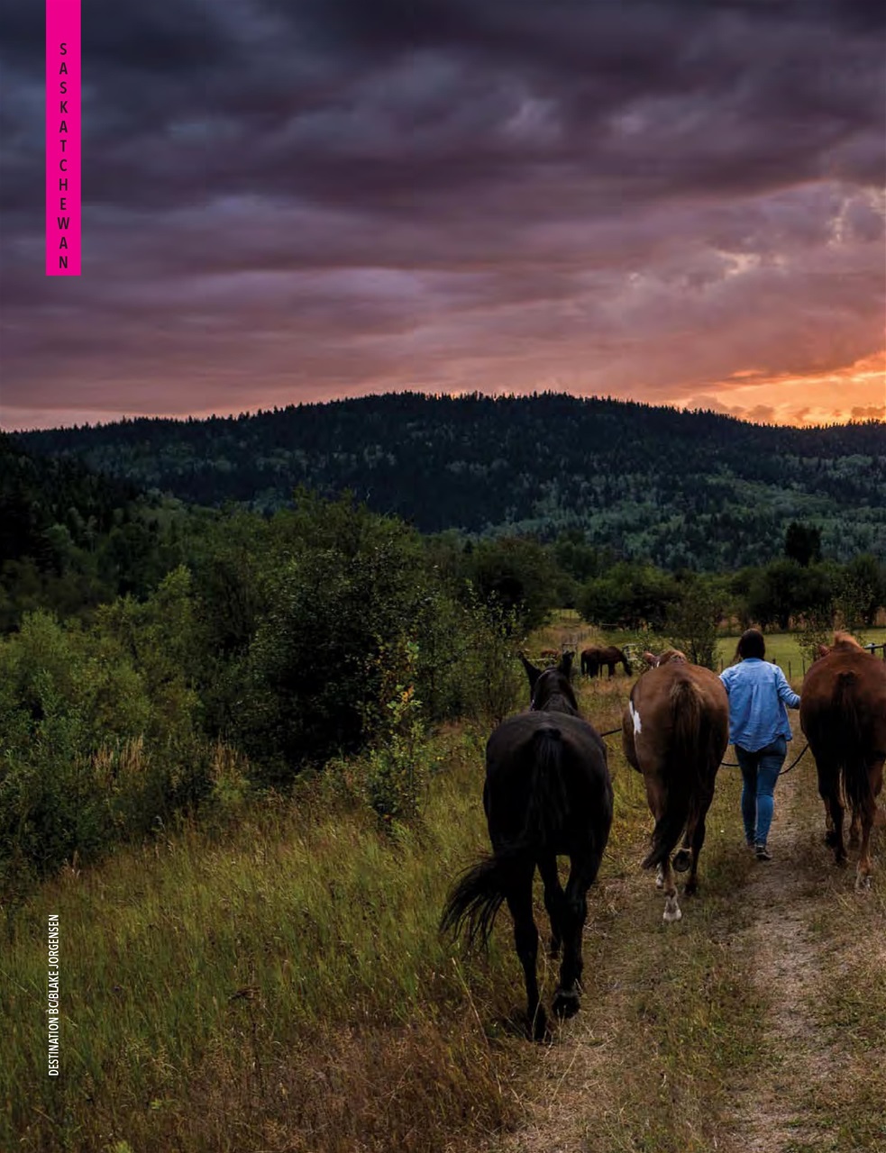Snowbirds & RV Travelers Preview Pages