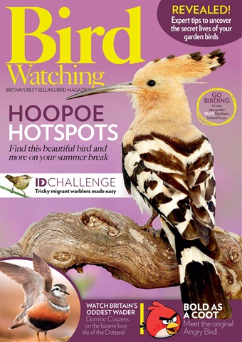 Bird Watching issue August 2017