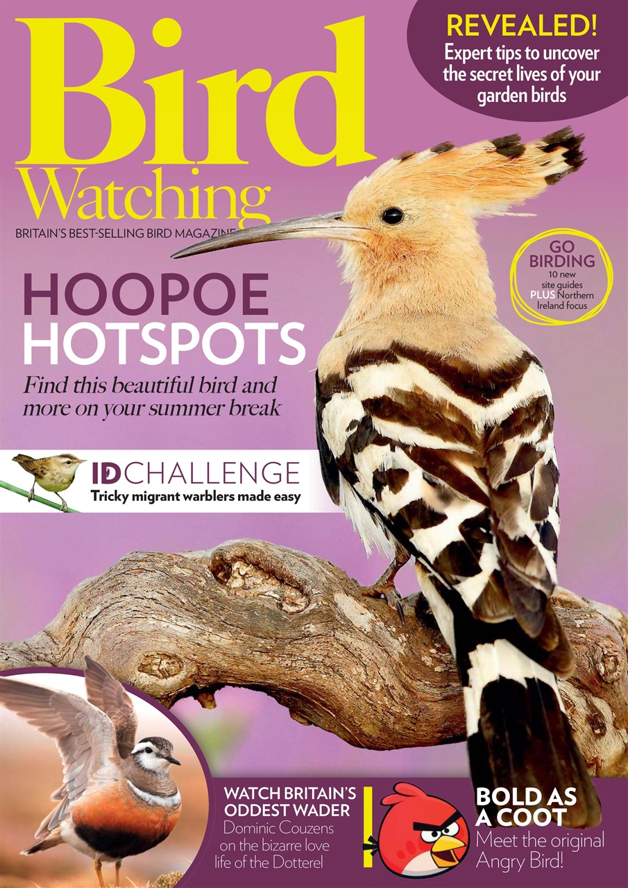 Bird Watching Preview Pages