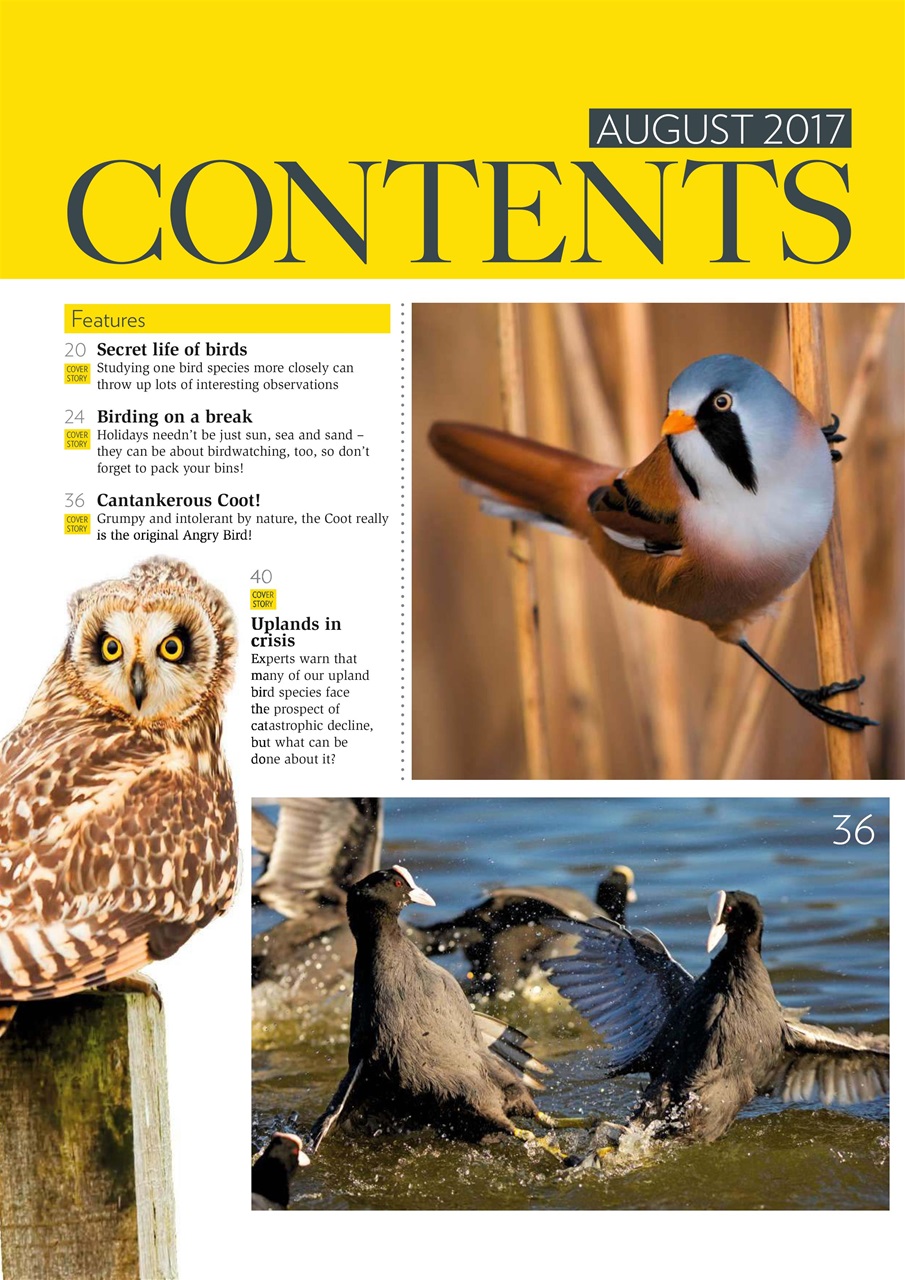 Bird Watching Preview Pages