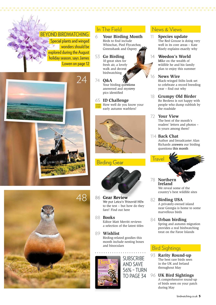 Bird Watching Preview Pages