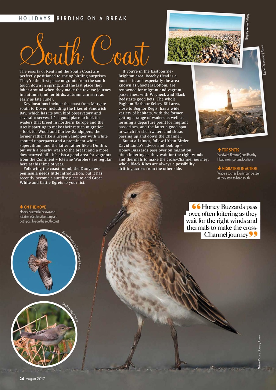 Bird Watching Preview Pages