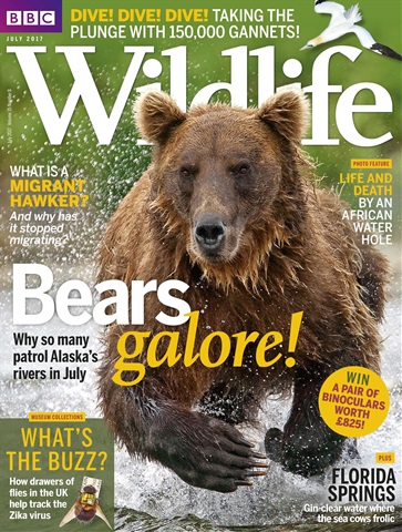 BBC Wildlife Magazine issue July 2017