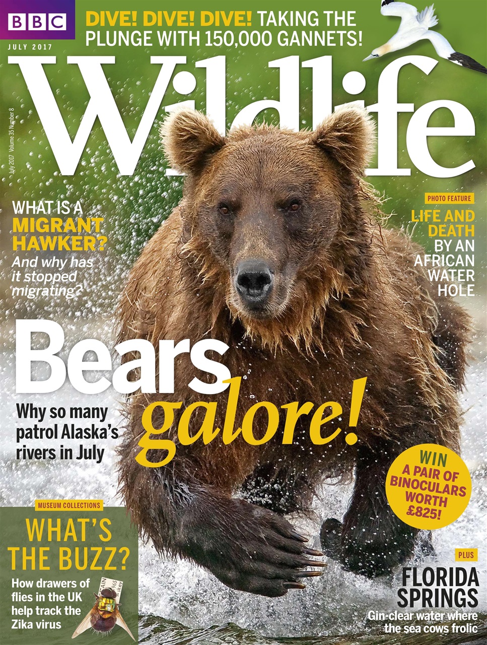 BBC Wildlife Magazine Preview Pages