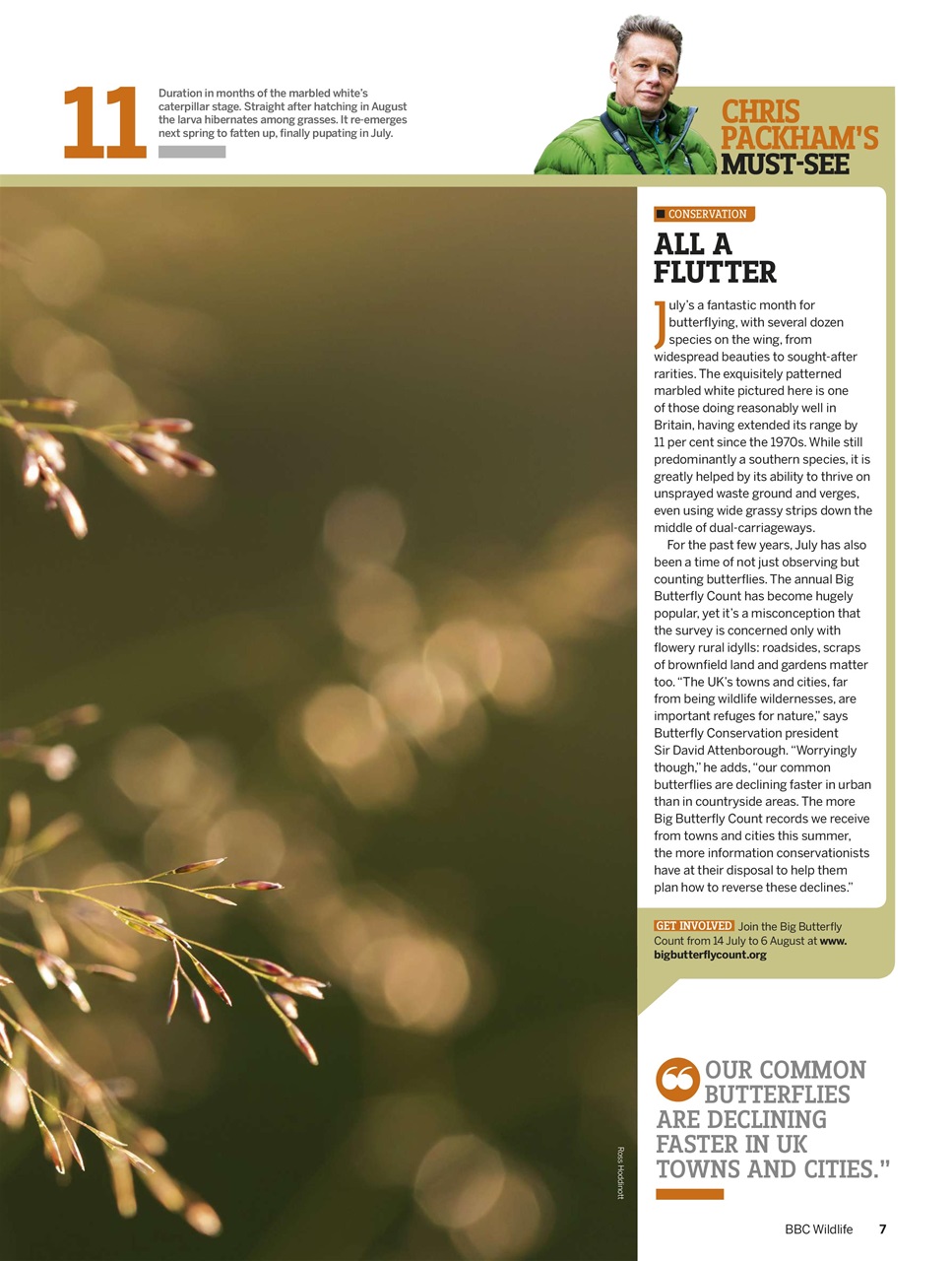 BBC Wildlife Magazine Preview Pages