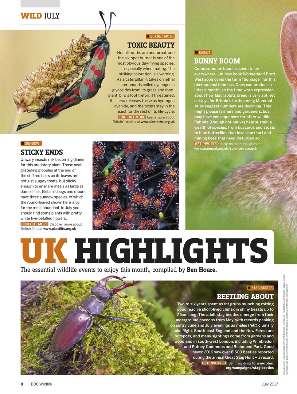 BBC Wildlife Magazine Preview Pages