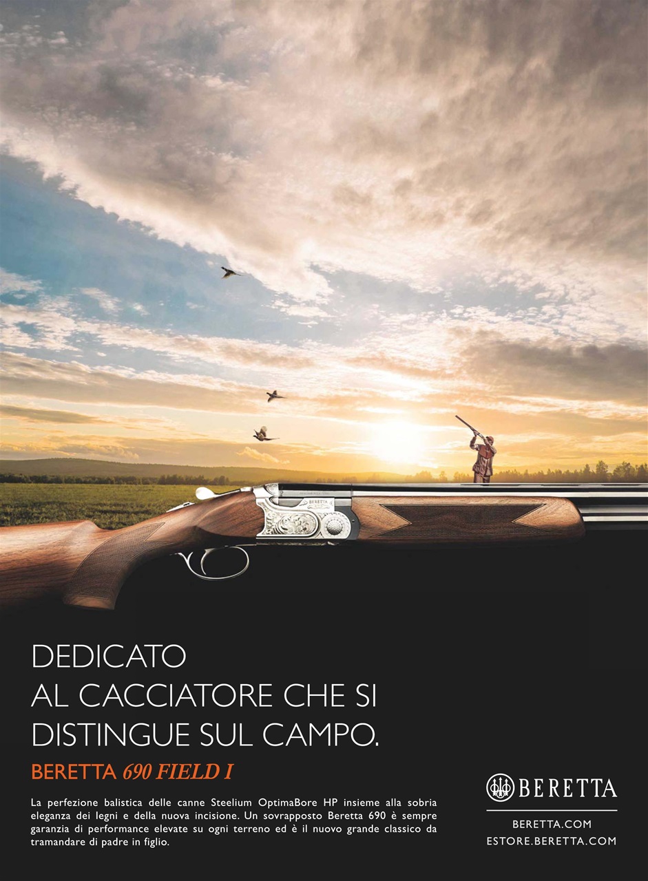 BECCACCE CHE PASSIONE Preview Pages