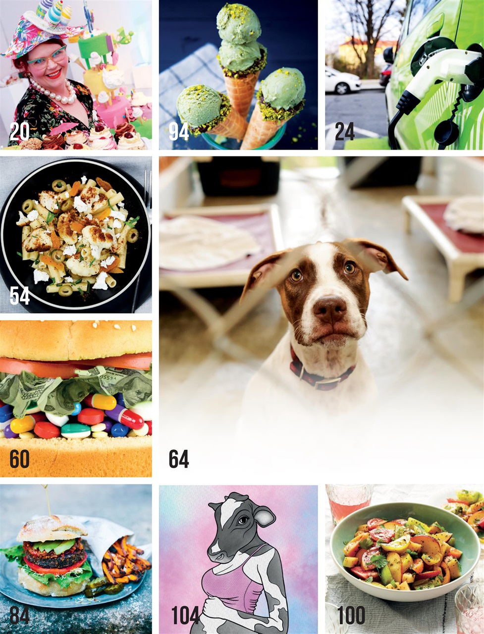 Vegan Life Preview Pages