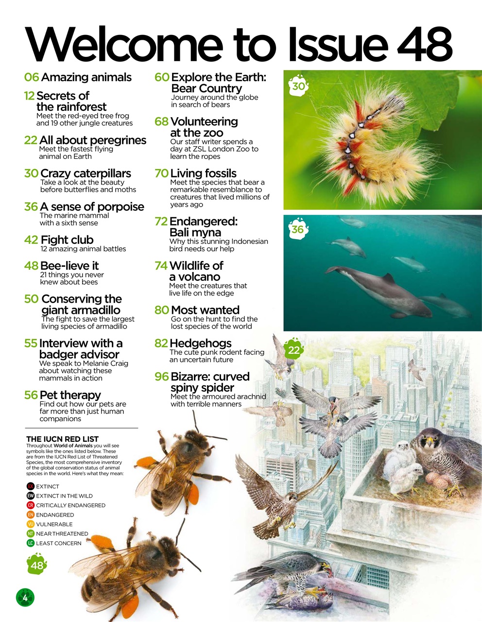 World of Animals Preview Pages