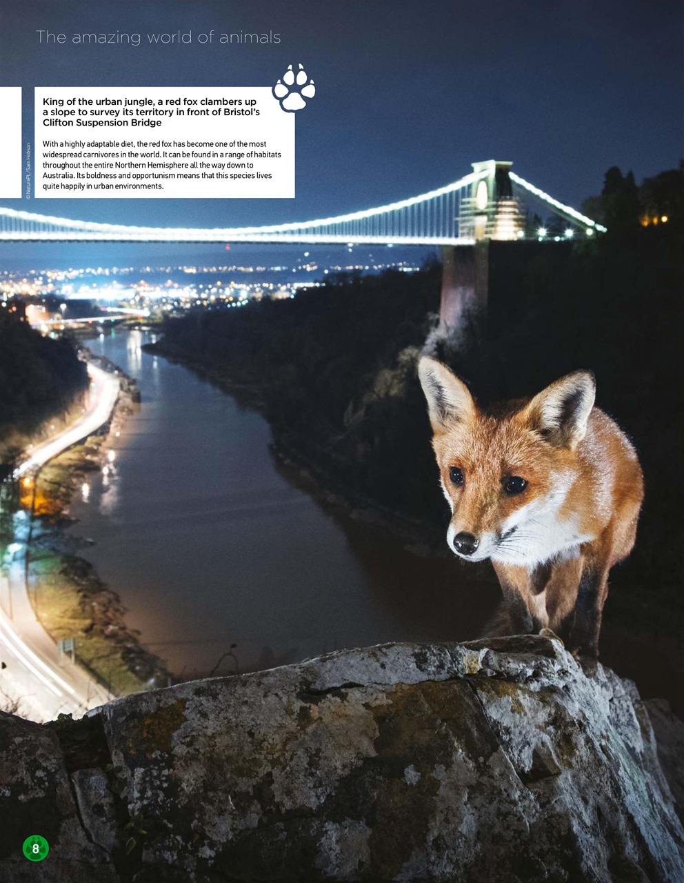 World of Animals Preview Pages