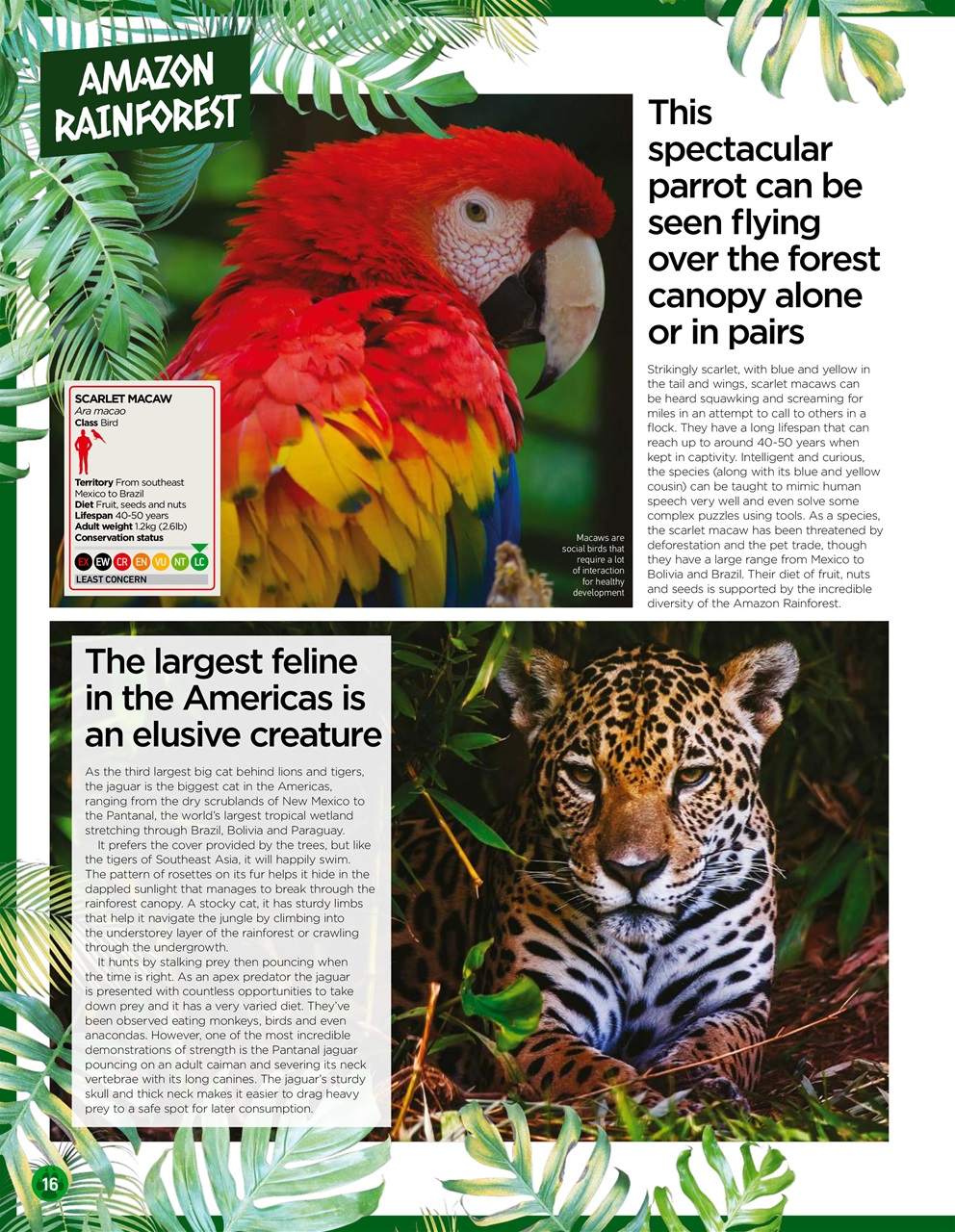 World of Animals Preview Pages