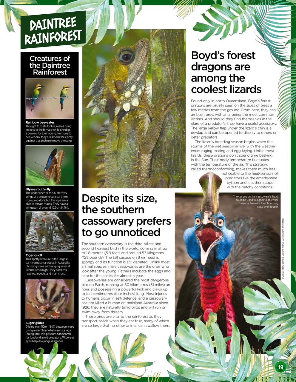 World of Animals Preview Pages