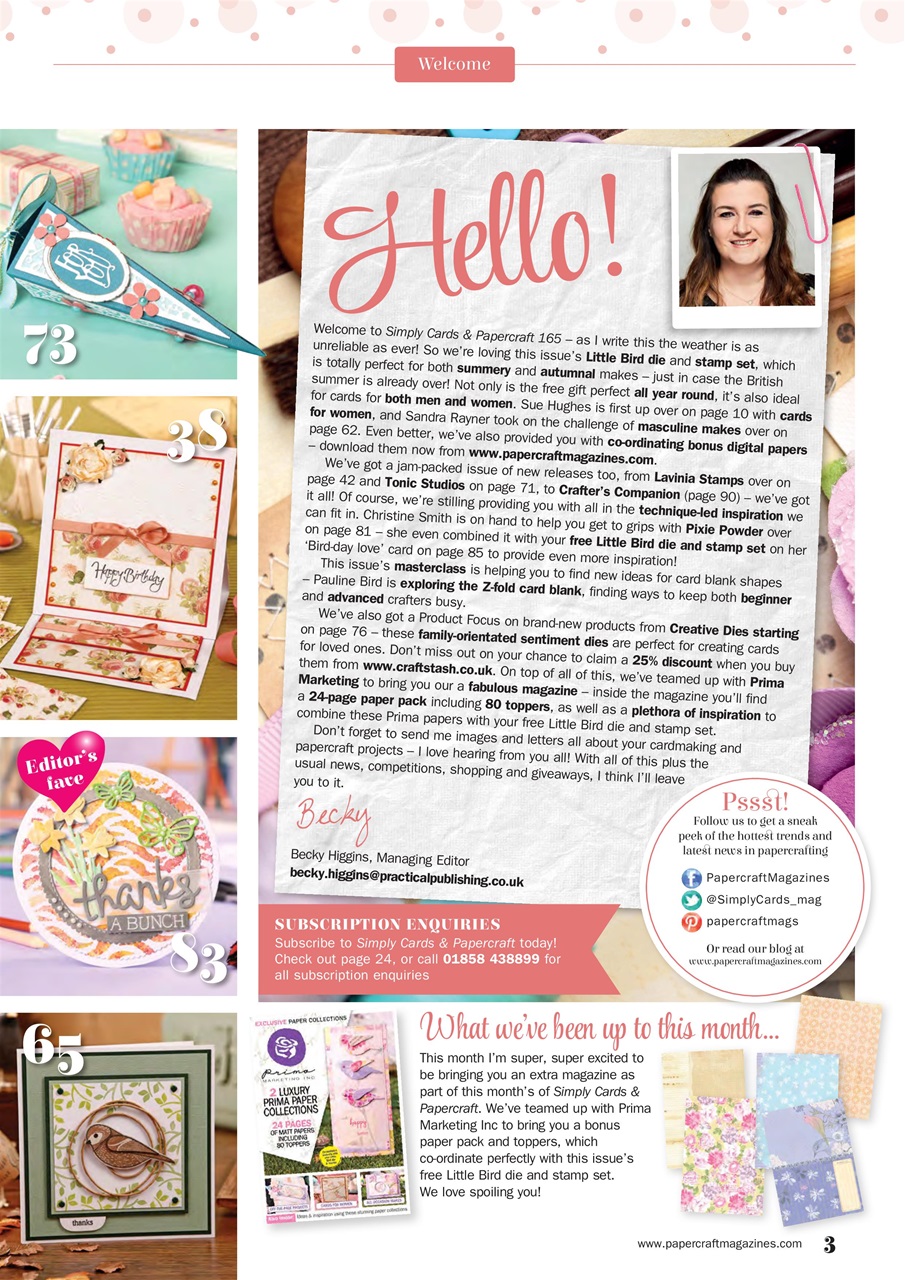 Simply Cards & Papercraft Preview Pages