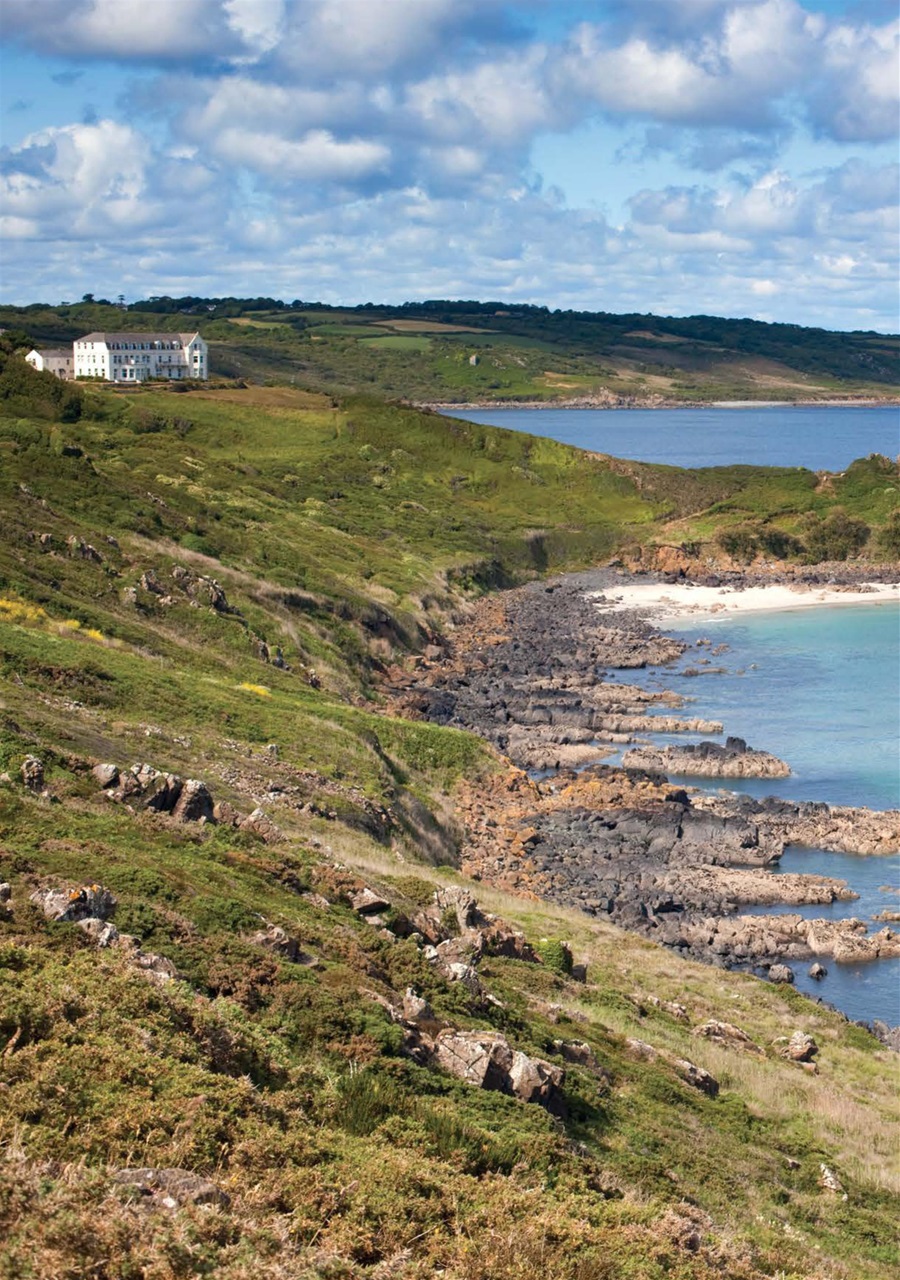 MMM magazine Preview Pages