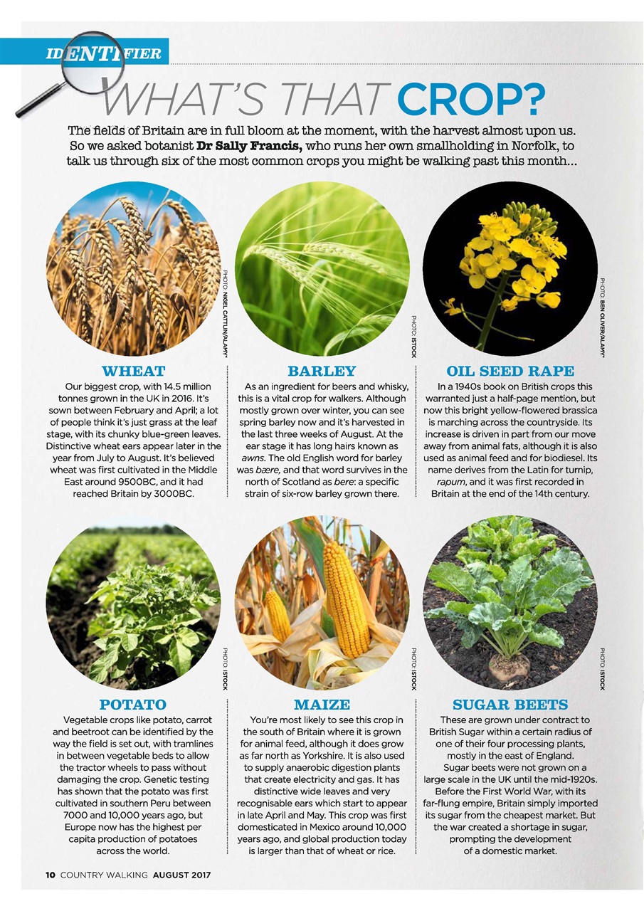 Country Walking Preview Pages