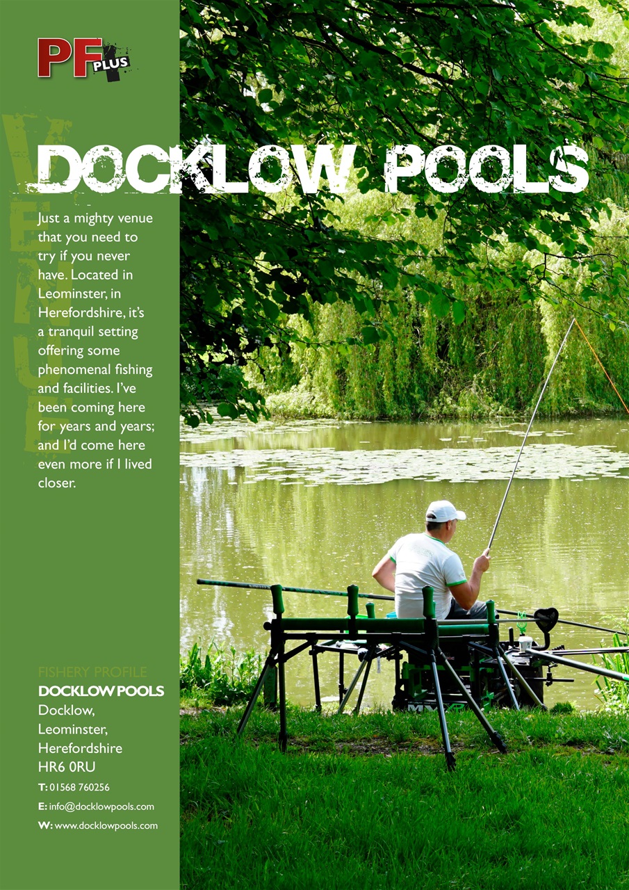 Pole Fishing Plus Preview Pages