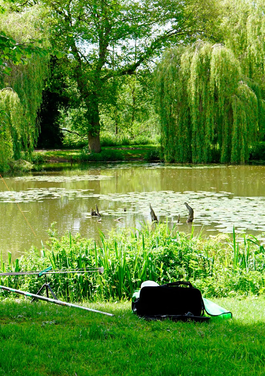 Pole Fishing Plus Preview Pages