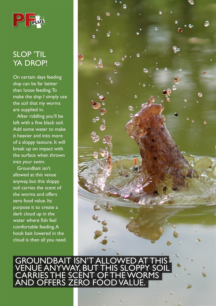 Pole Fishing Plus Preview Pages