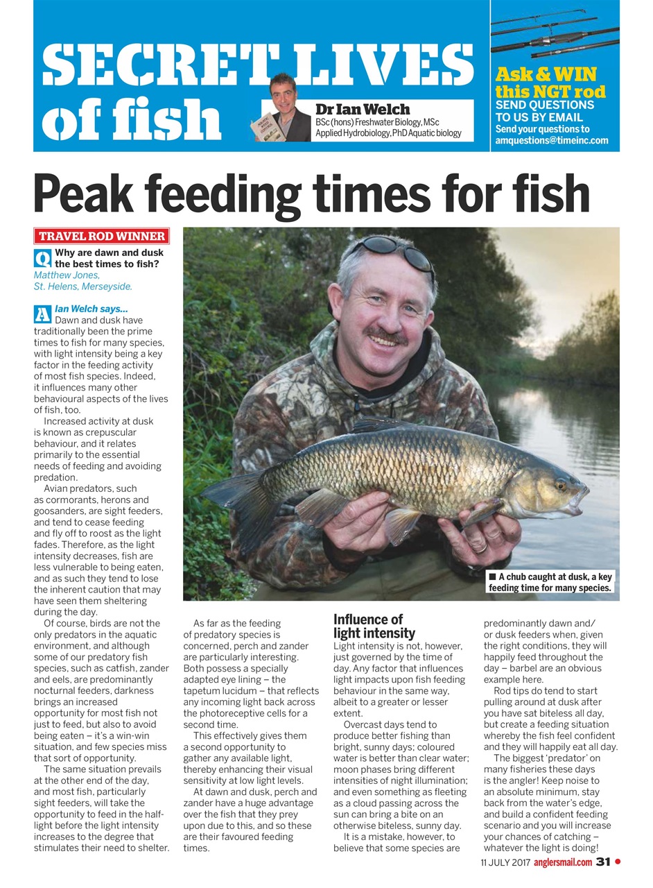 Anglers Mail Preview Pages