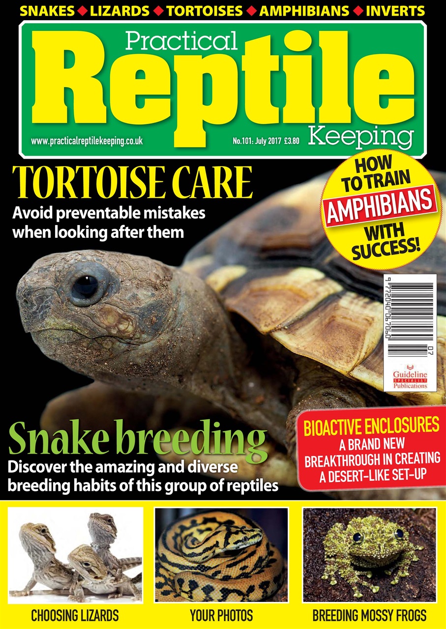 Practical Reptile Keeping Preview Pages