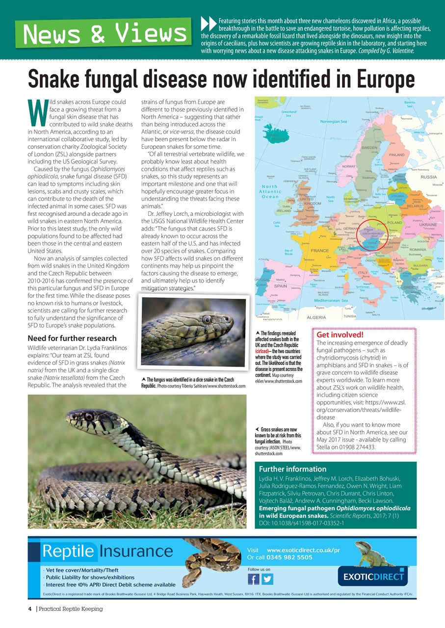 Practical Reptile Keeping Preview Pages