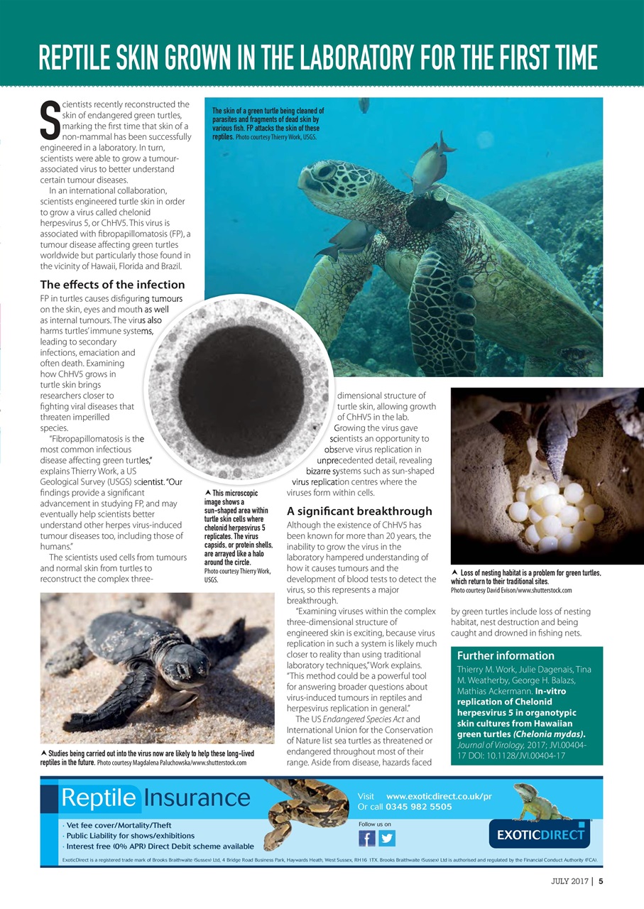 Practical Reptile Keeping Preview Pages