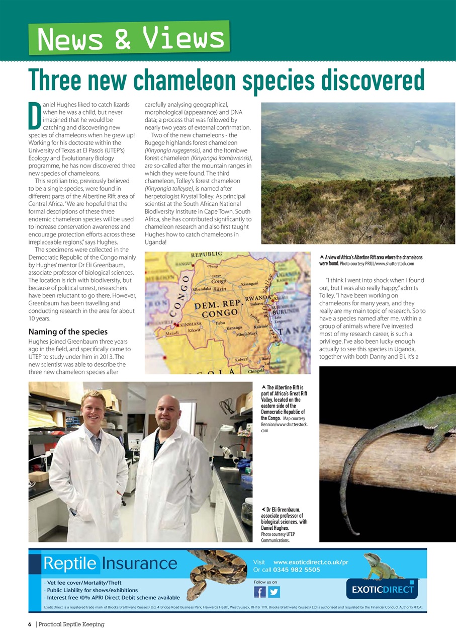 Practical Reptile Keeping Preview Pages