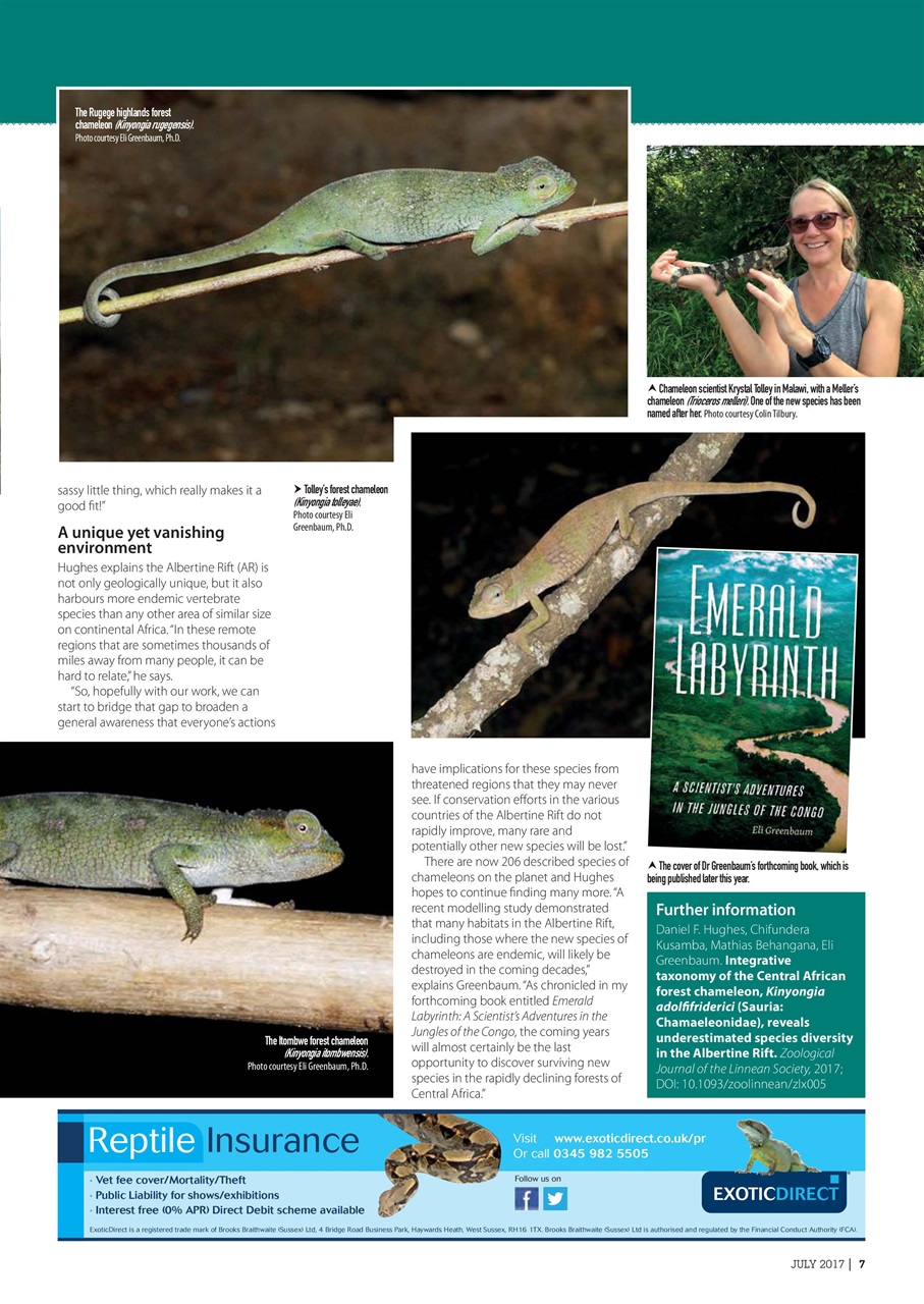 Practical Reptile Keeping Preview Pages