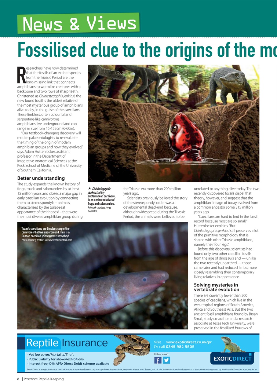 Practical Reptile Keeping Preview Pages