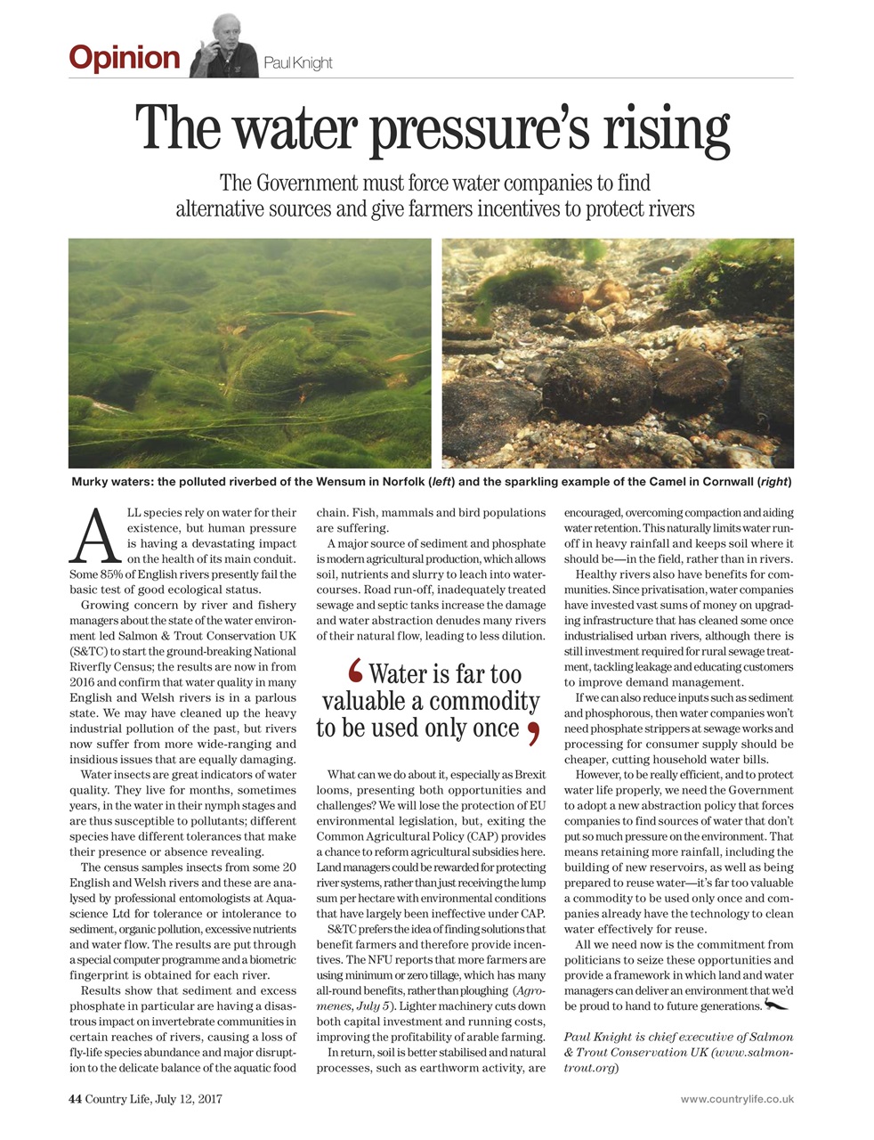 Country Life Preview Pages