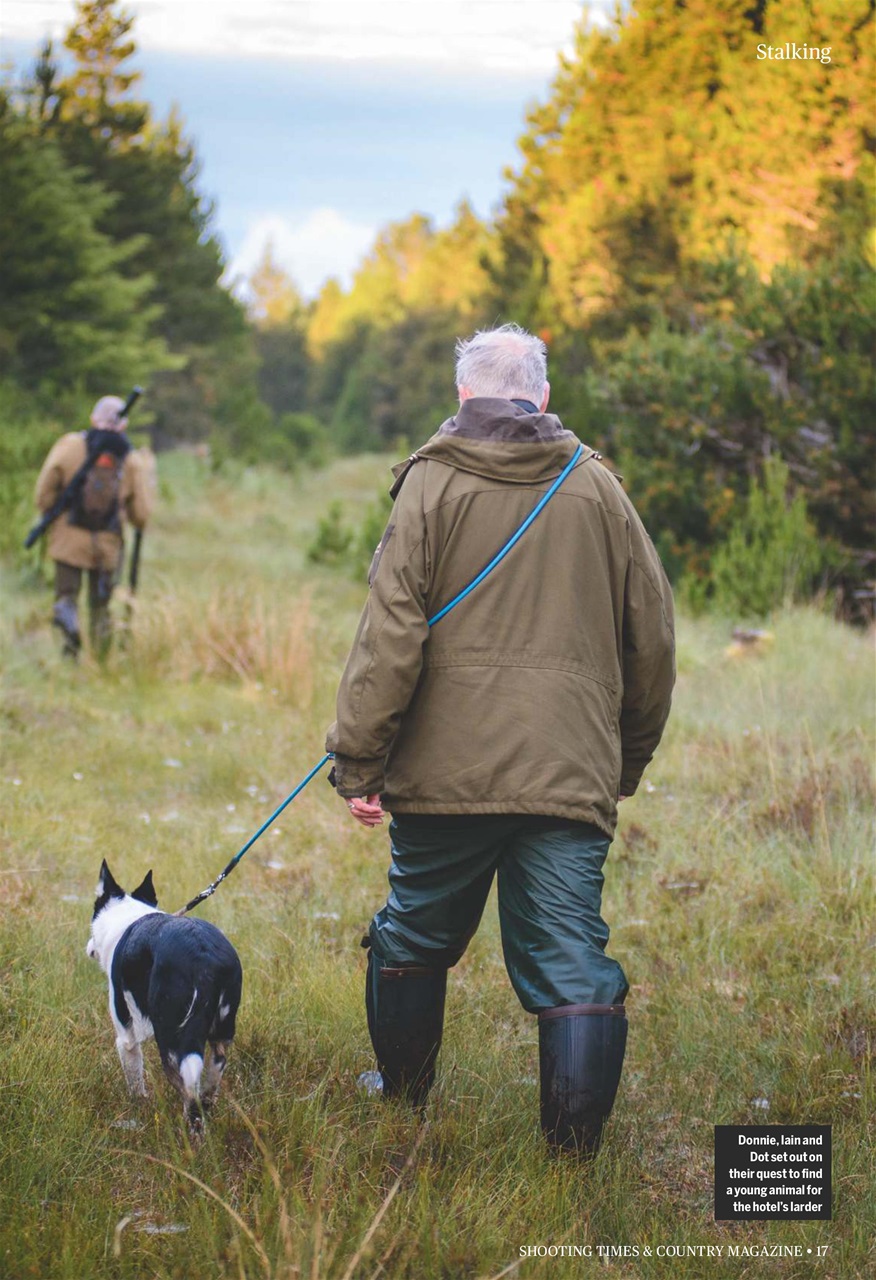 Shooting Times & Country Preview Pages