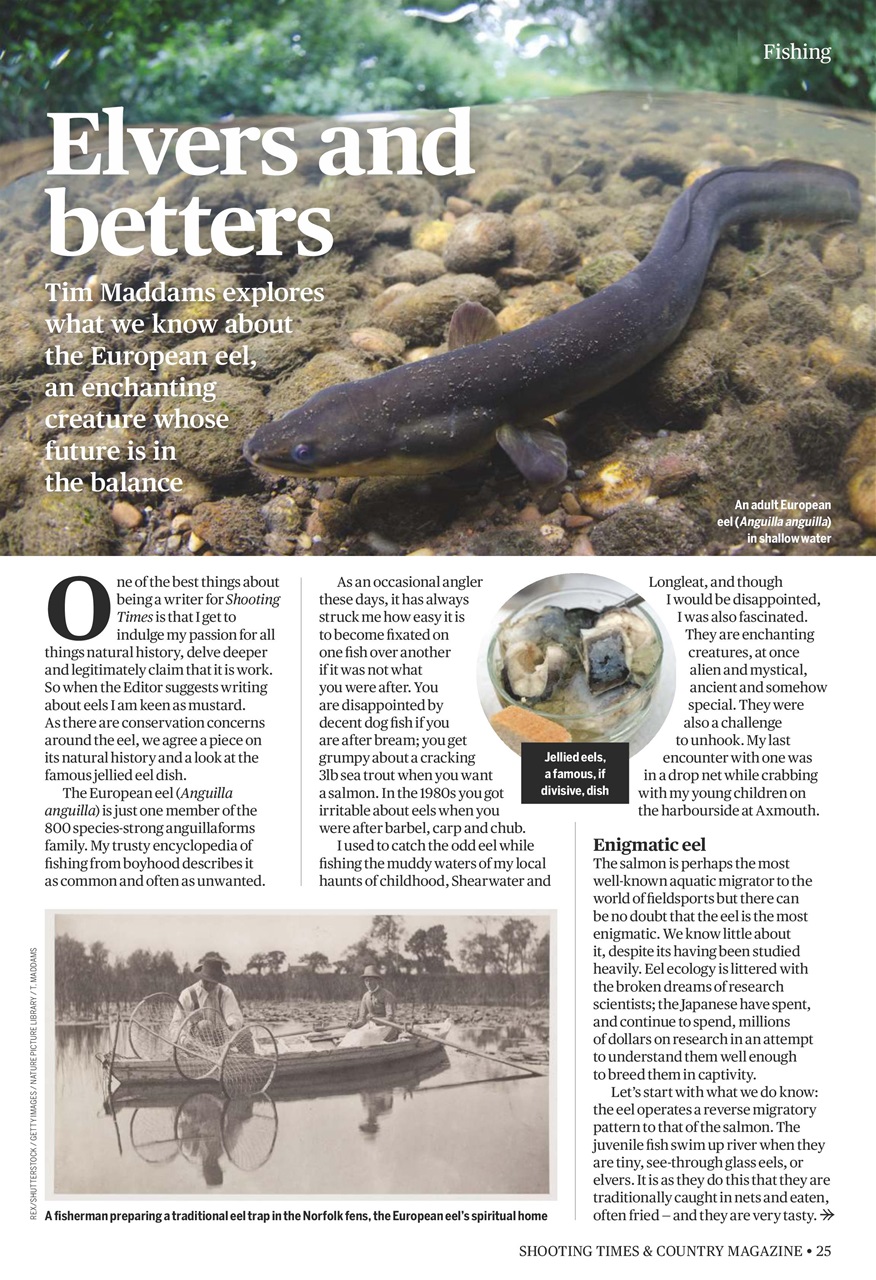 Shooting Times & Country Preview Pages