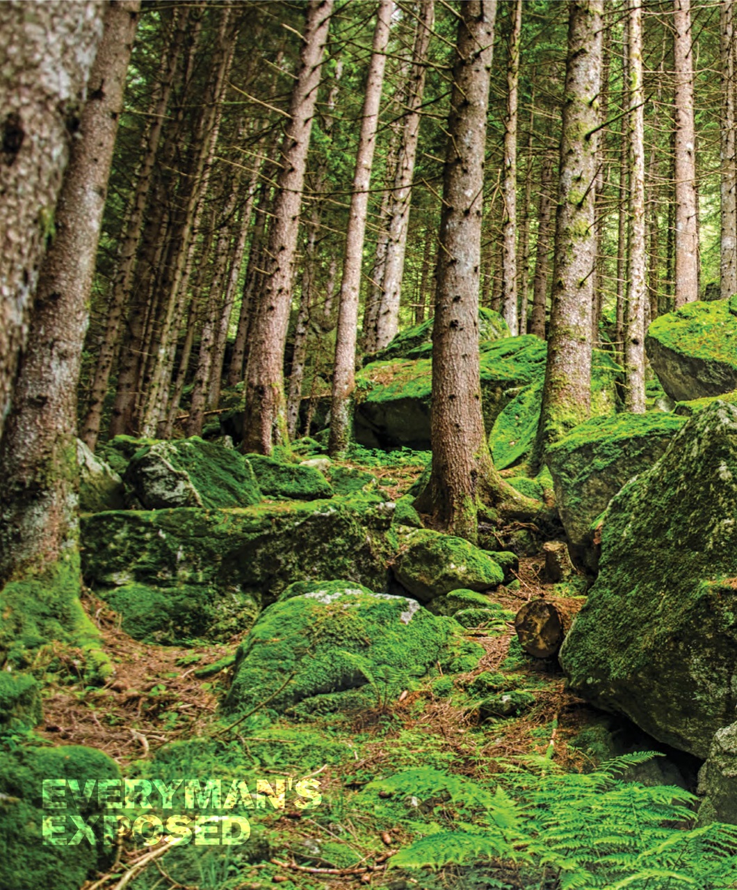 Rock and Ice Preview Pages