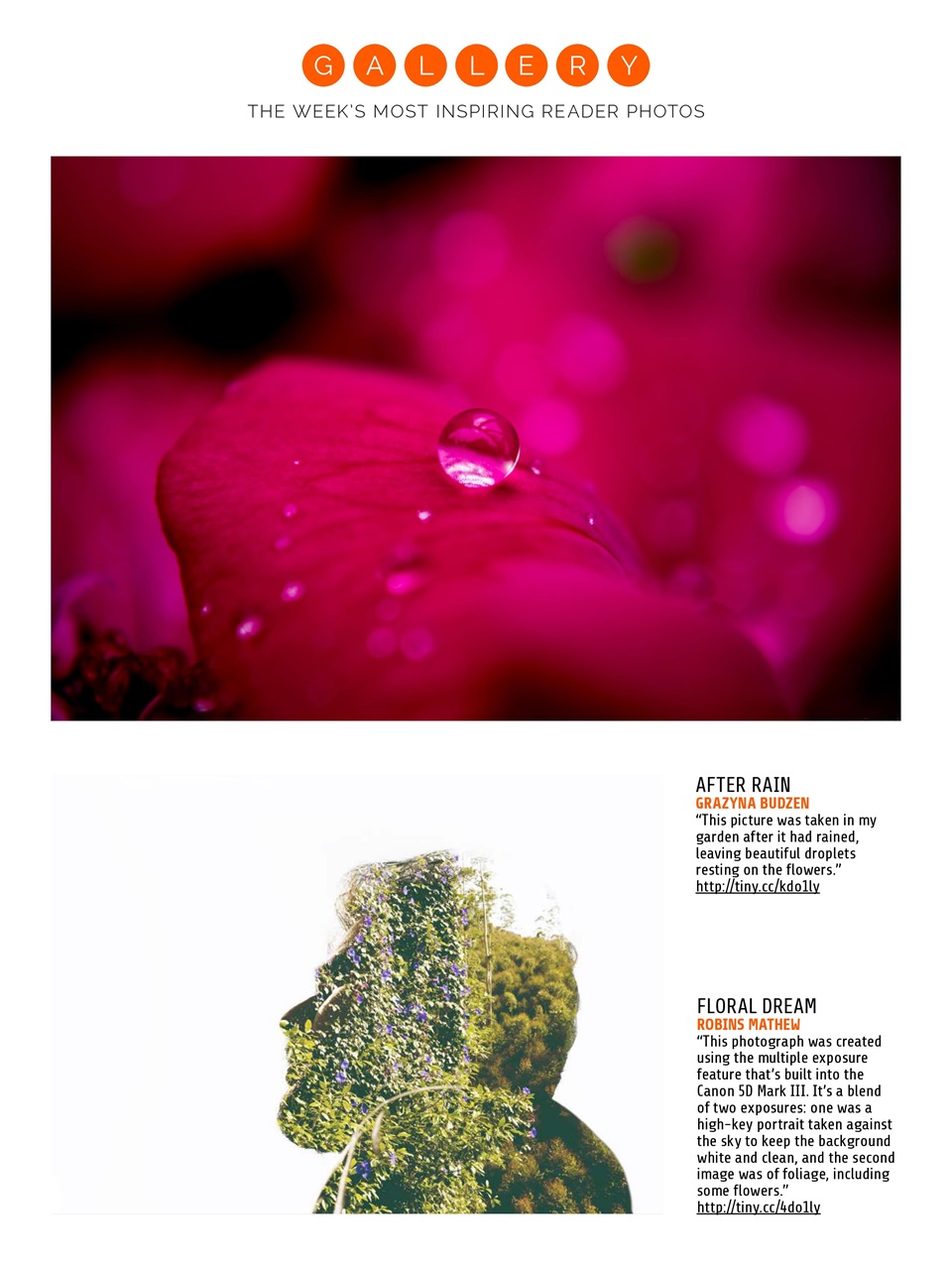 Photography Week Preview Pages