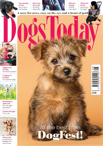 Dogs Today Magazine issue August 2017