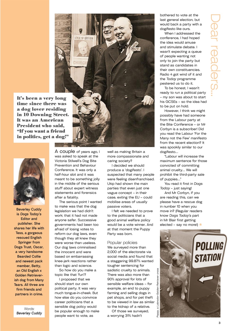Dogs Today Magazine Preview Pages