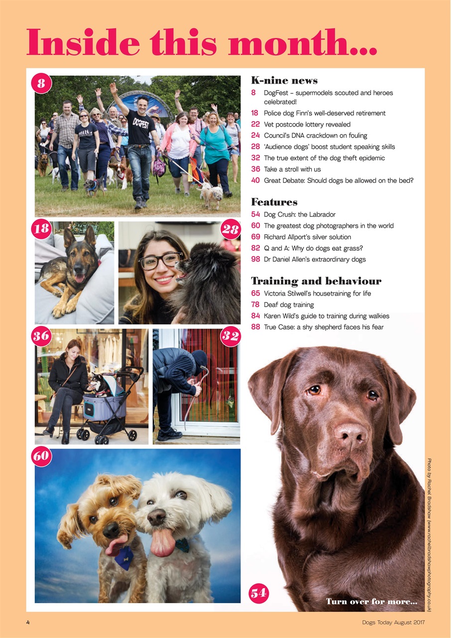 Dogs Today Magazine Preview Pages