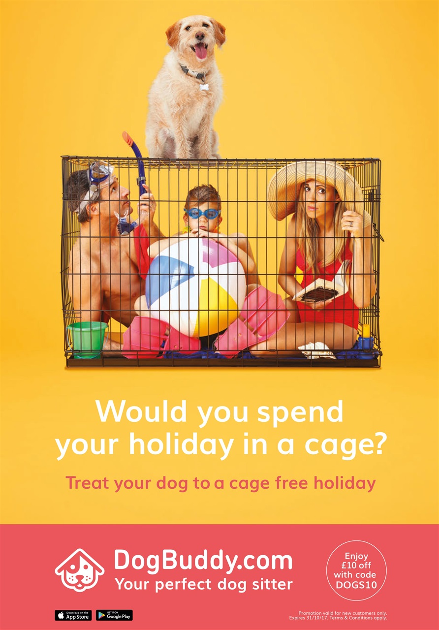 Dogs Today Magazine Preview Pages