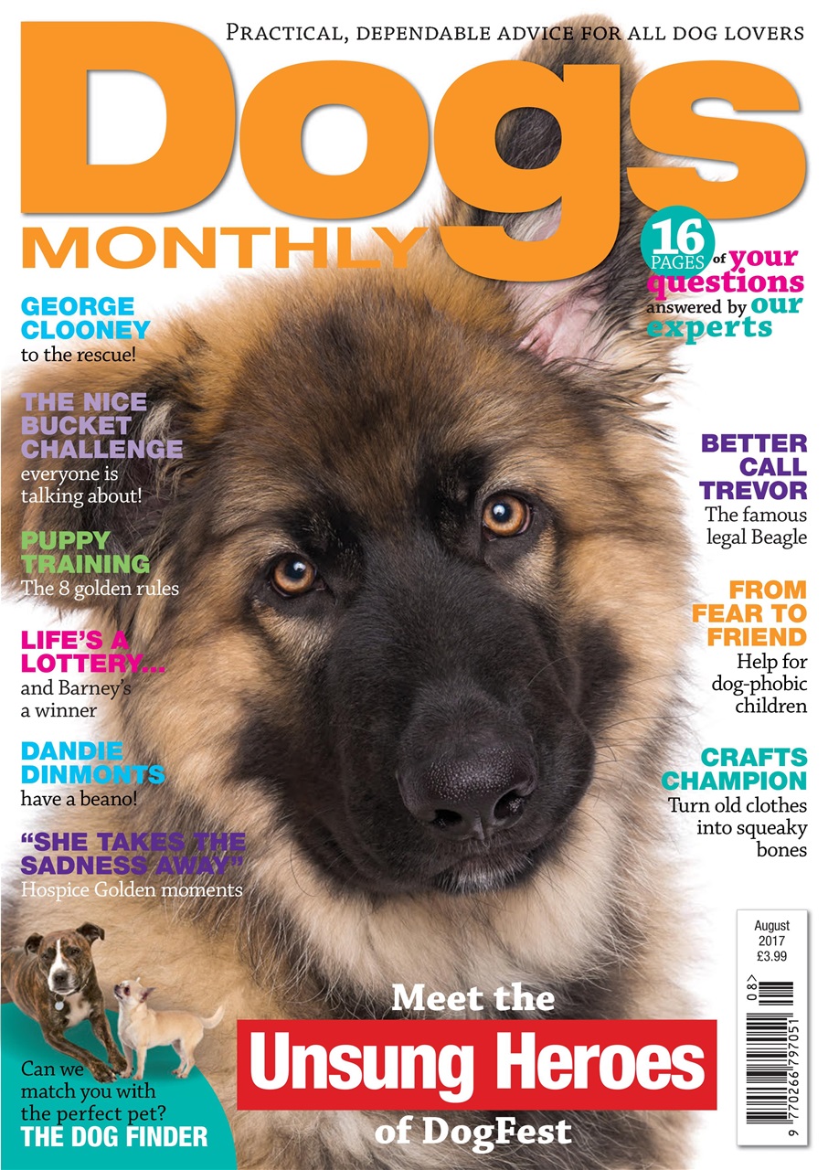 Dogs Monthly Preview Pages