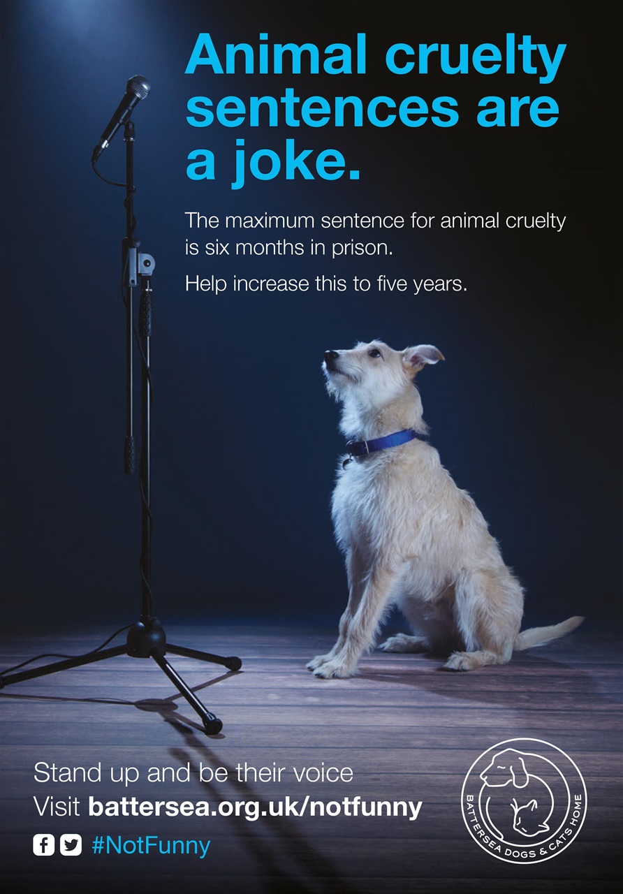 Dogs Monthly Preview Pages