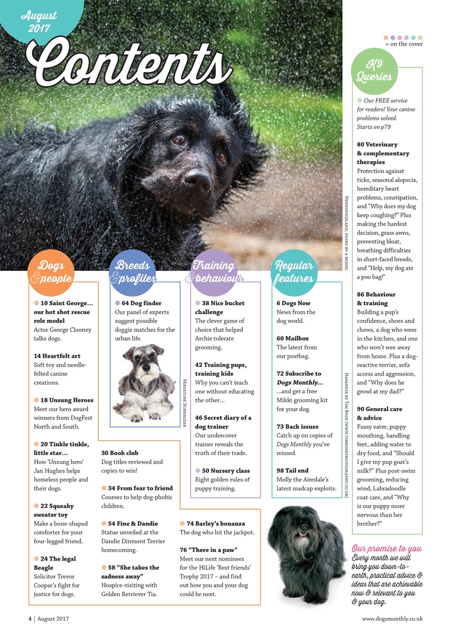 Dogs Monthly Preview Pages