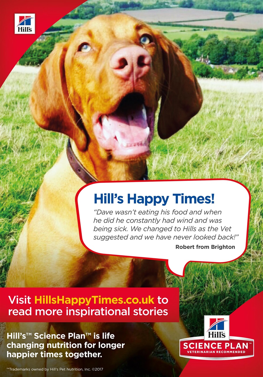 Dogs Monthly Preview Pages