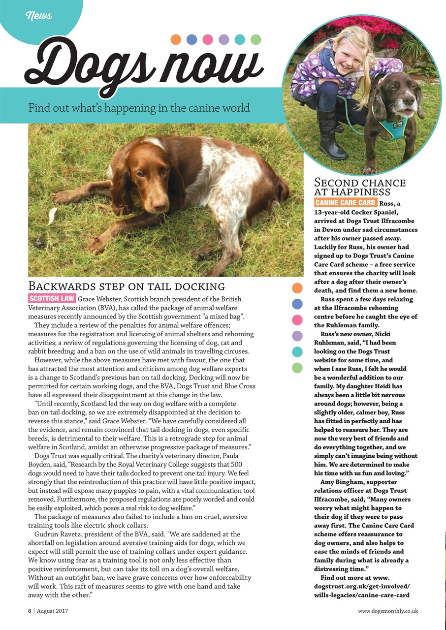 Dogs Monthly Preview Pages