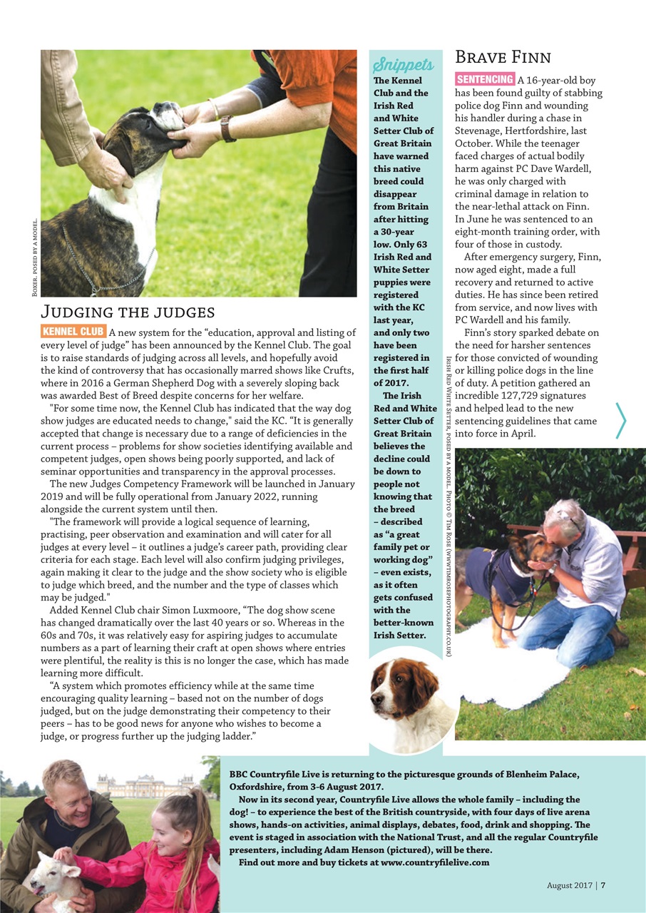 Dogs Monthly Preview Pages