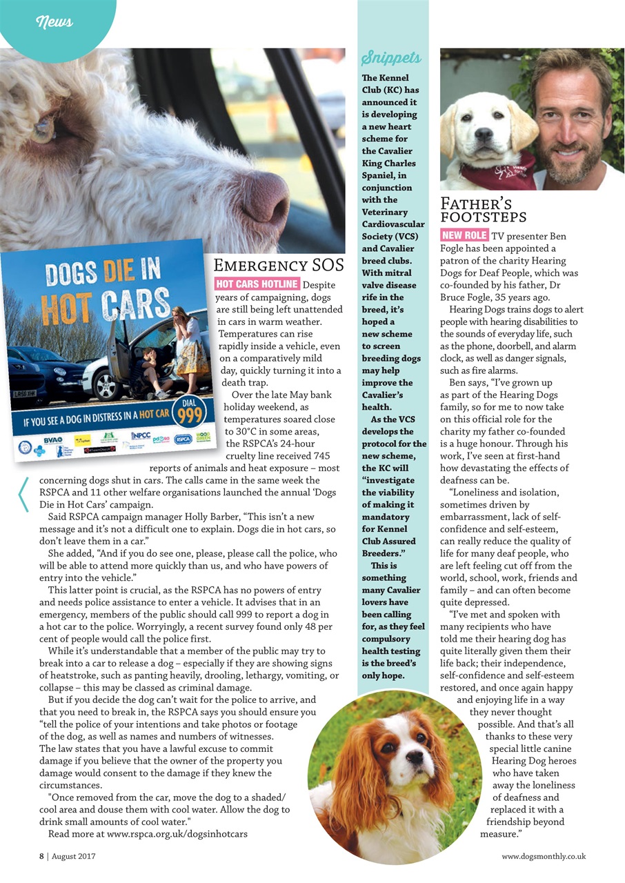 Dogs Monthly Preview Pages