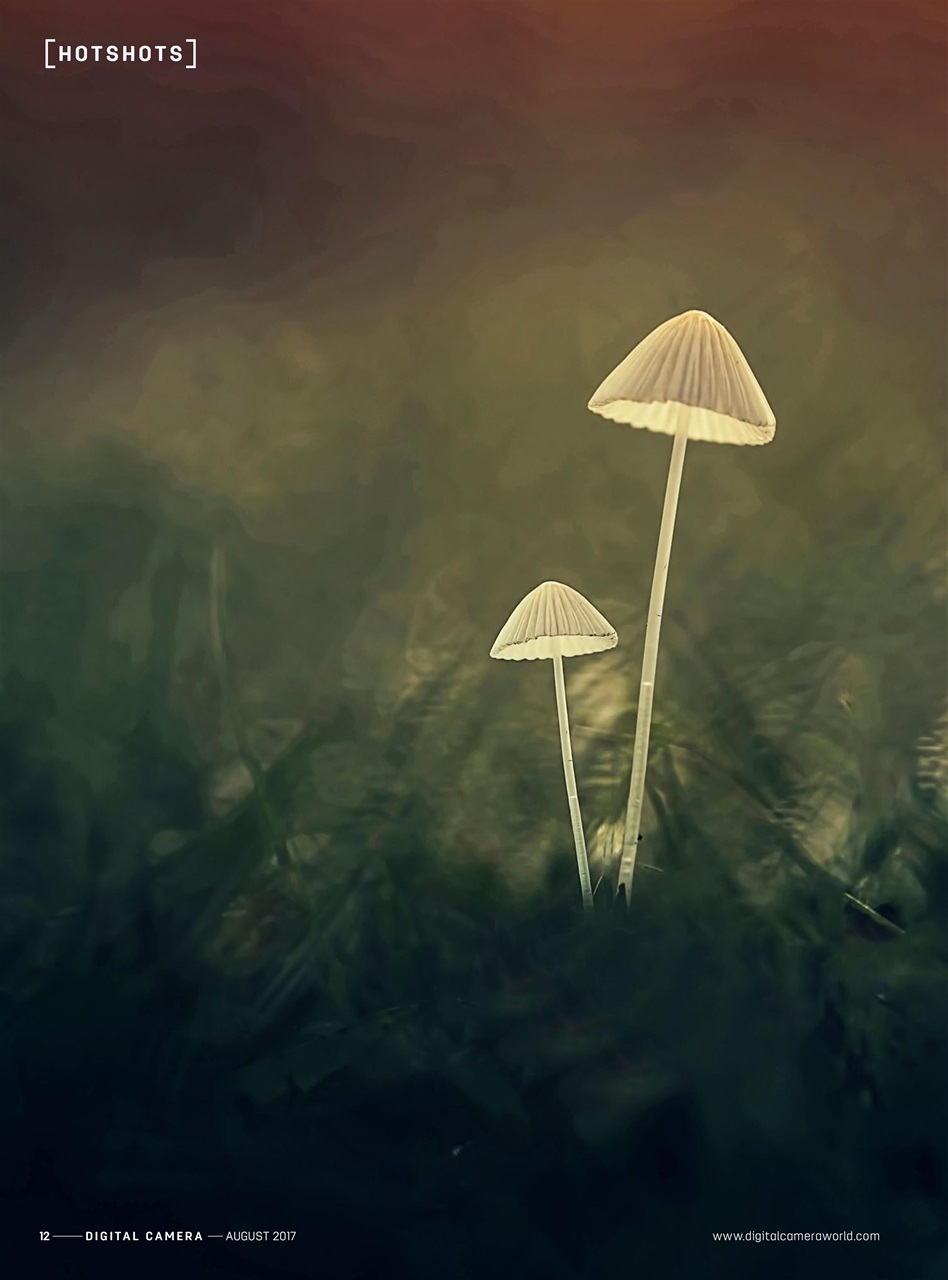 Digital Camera Magazine Preview Pages