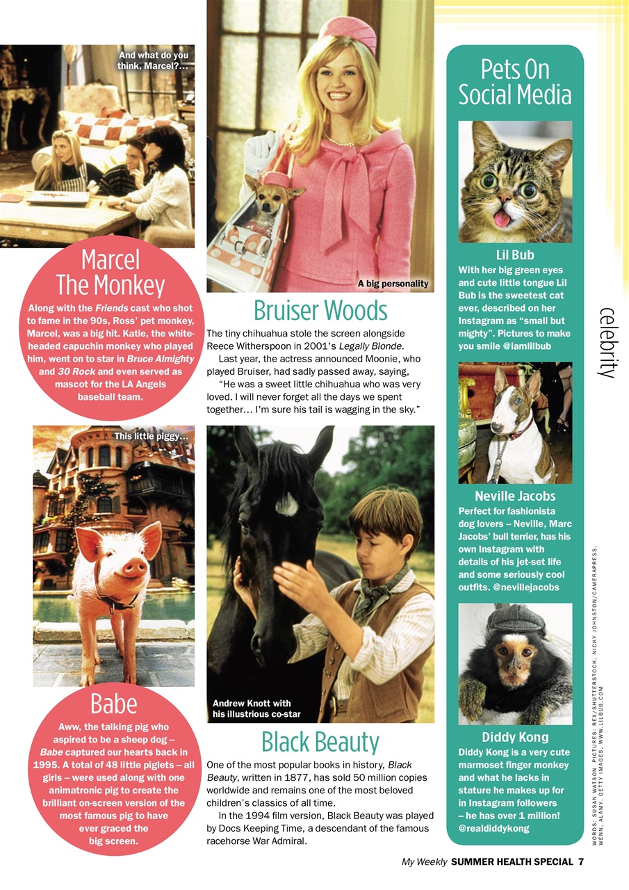 My Weekly Special Preview Pages