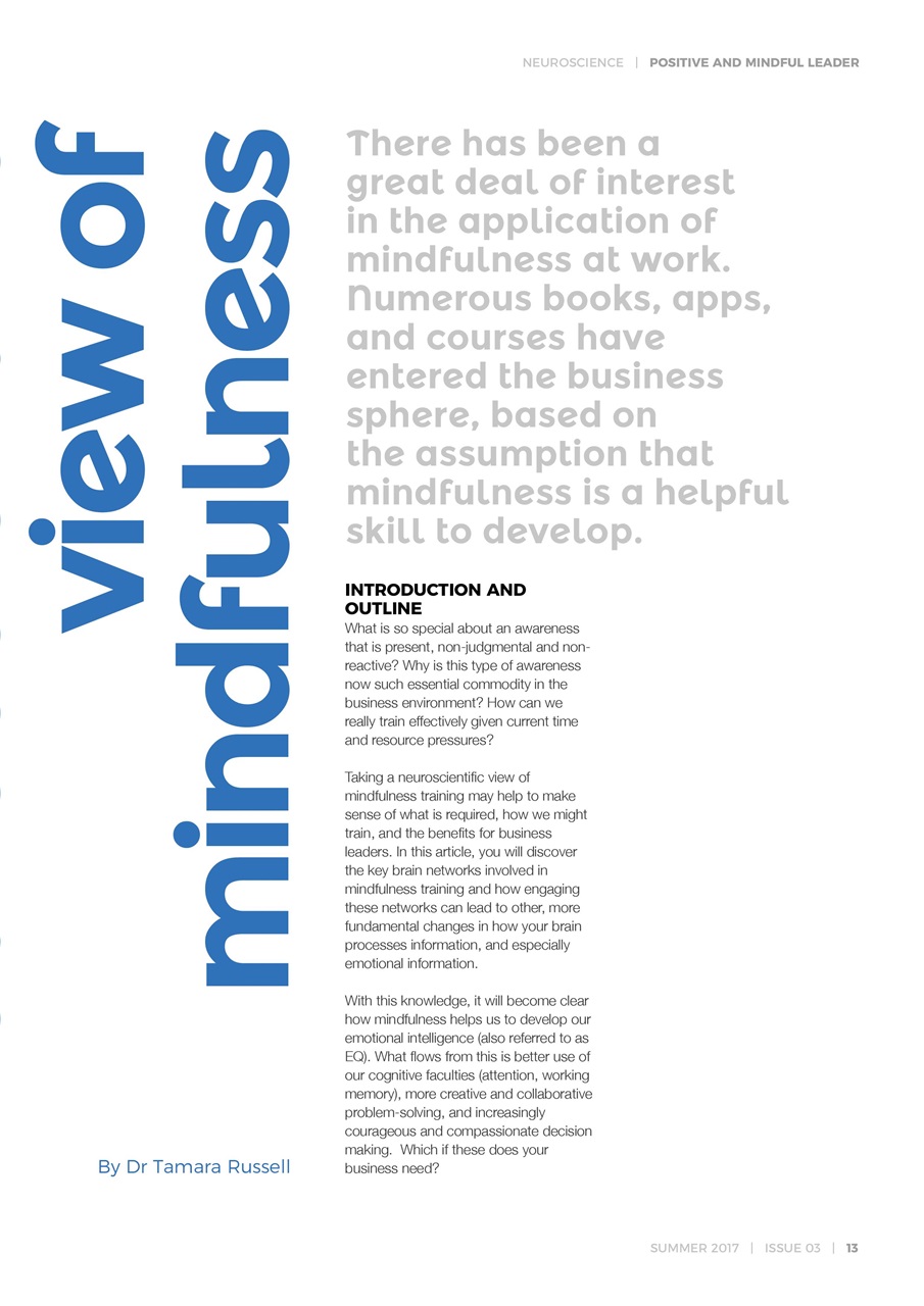 Positive & Mindful Leader Preview Pages